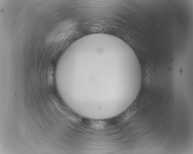 X0000051240226200507152132