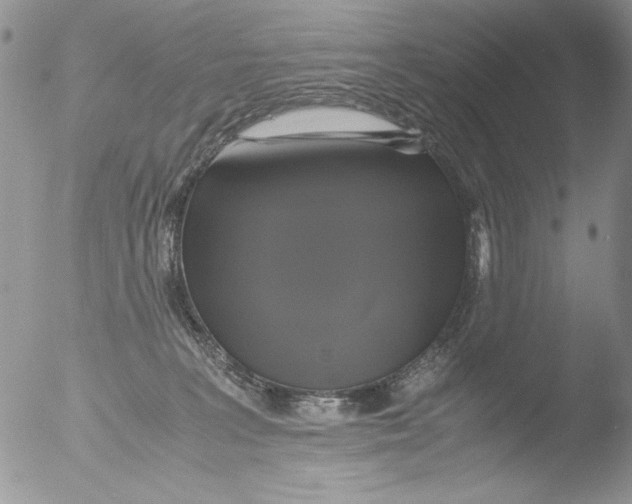 X0000051240227200507152132