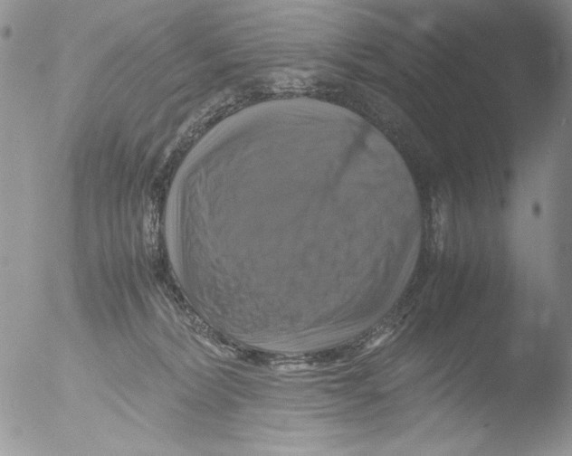 X0000051240228200507152132