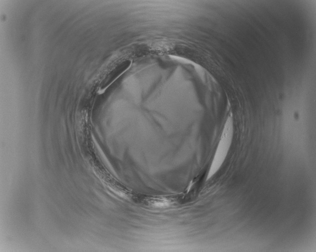 X0000051240229200507152132