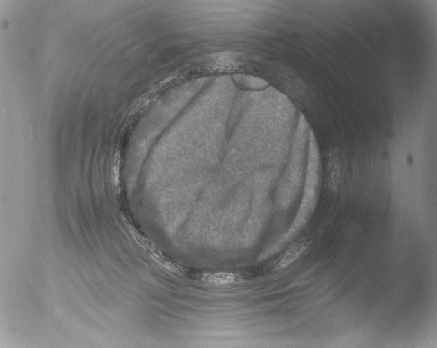 X0000051240230200507152132