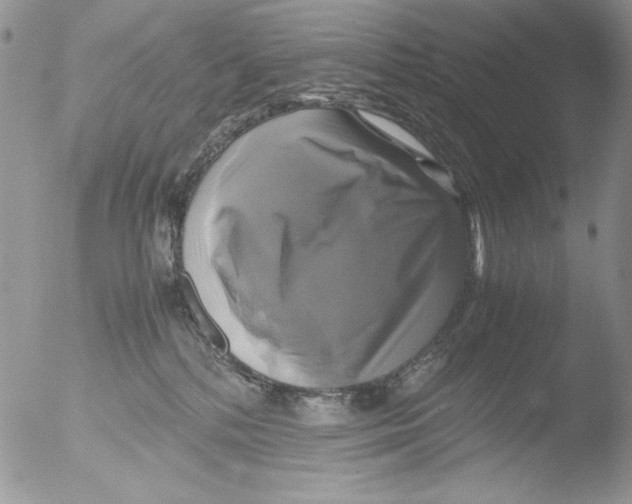 X0000051240232200507152132