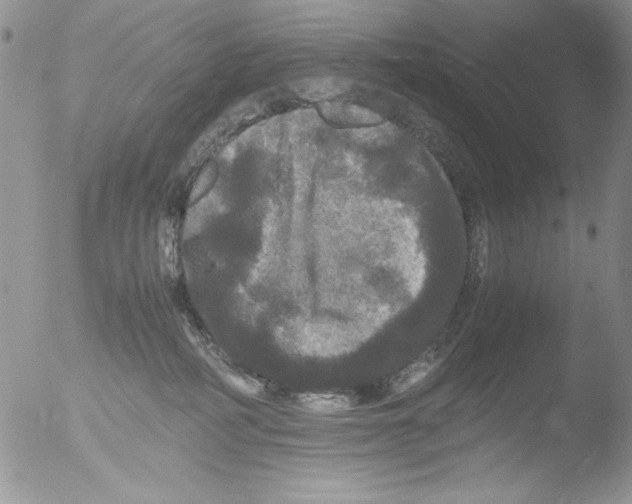 X0000051240234200507152132