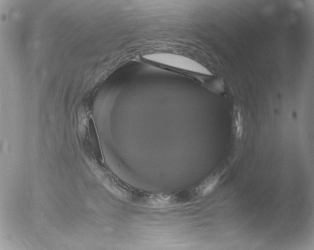 X0000051240235200507152132