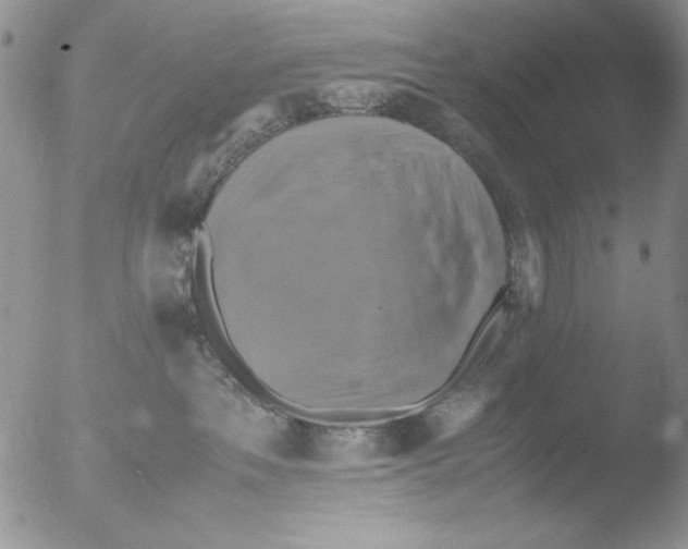 X0000051240237200507152131