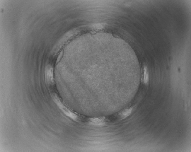 X0000051240238200507152131