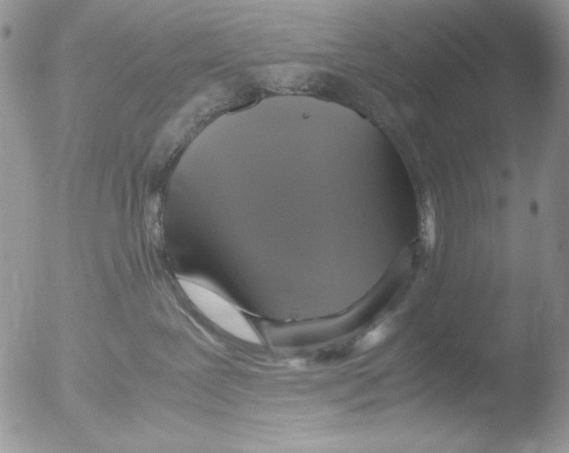 X0000051240239200507152131