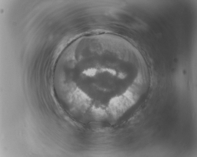 X0000051240241200507152131