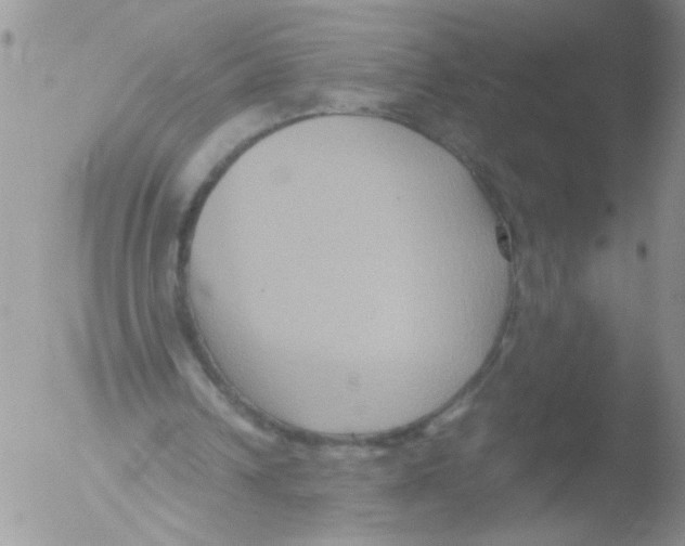 X0000051240242200507152131