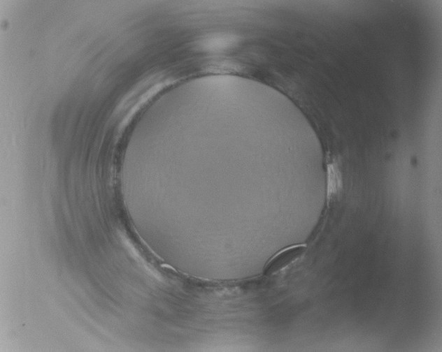 X0000051240243200507152131