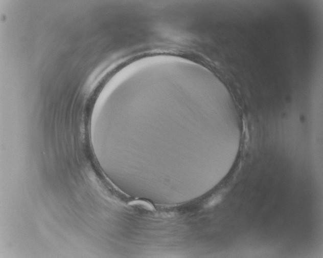 X0000051240247200507152131