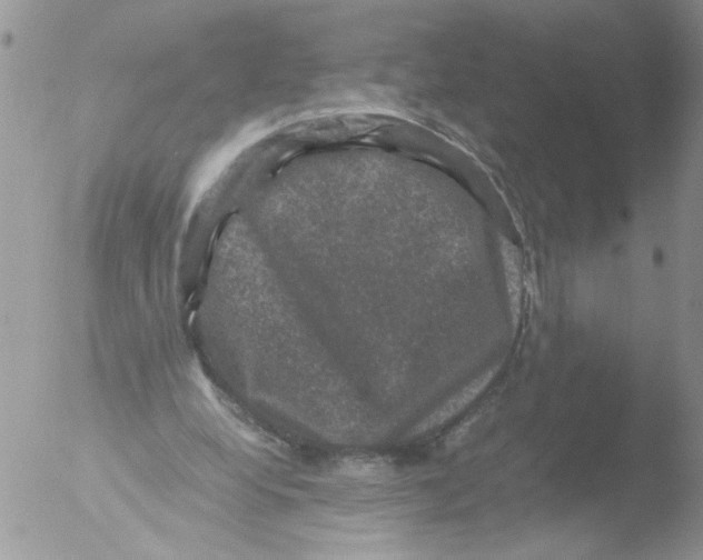 X0000051240248200507152131