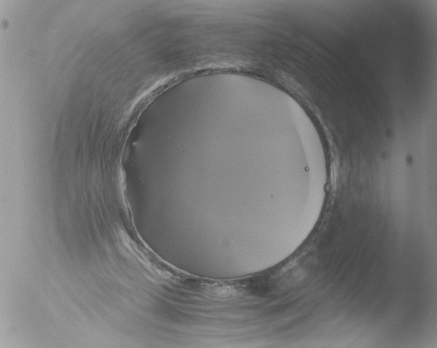 X0000051240249200507152131