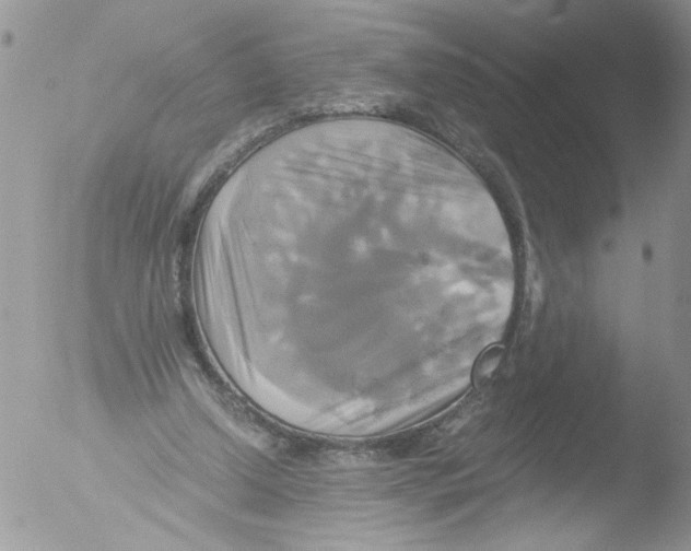 X0000051240250200507152131