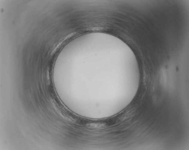 X0000051240251200507152131