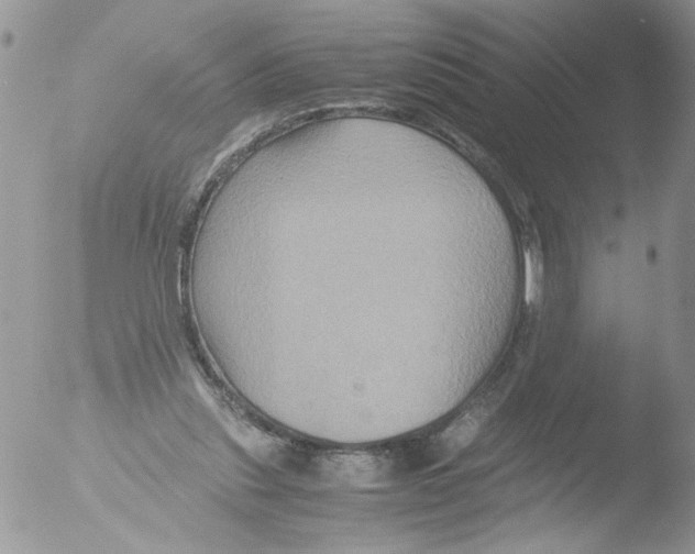 X0000051240253200507152131