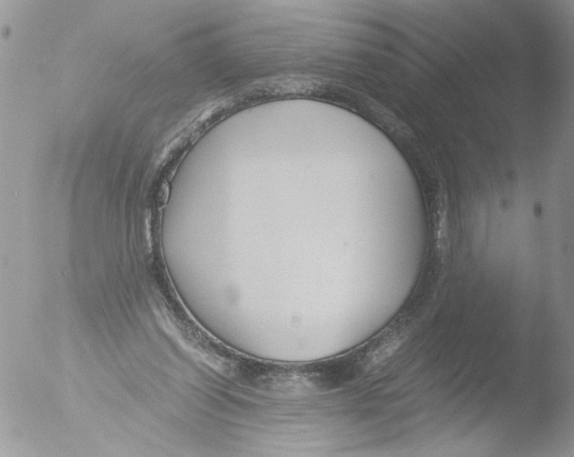 X0000051240254200507152131