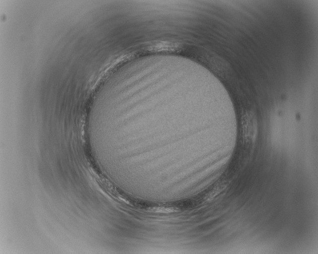 X0000051240255200507152131