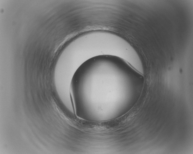 X0000051240256200507152131