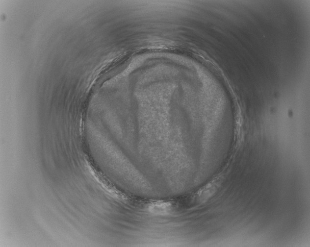 X0000051240257200507152131