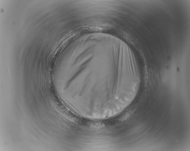 X0000051240258200507152131