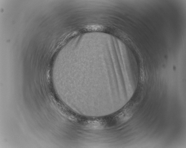 X0000051240259200507152131