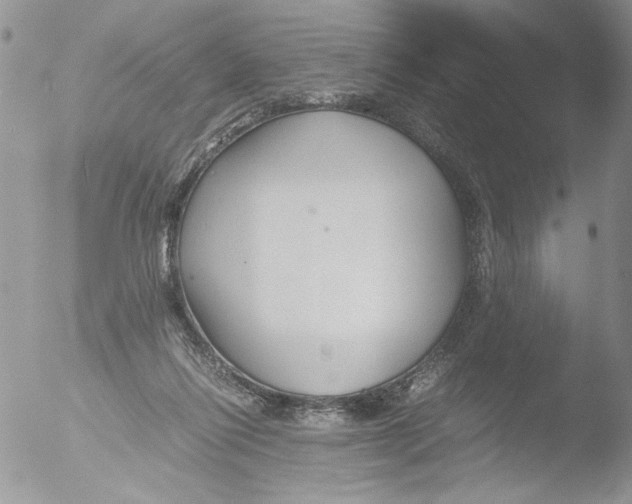 X0000051240262200507152131