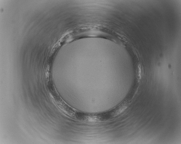 X0000051240264200507152131