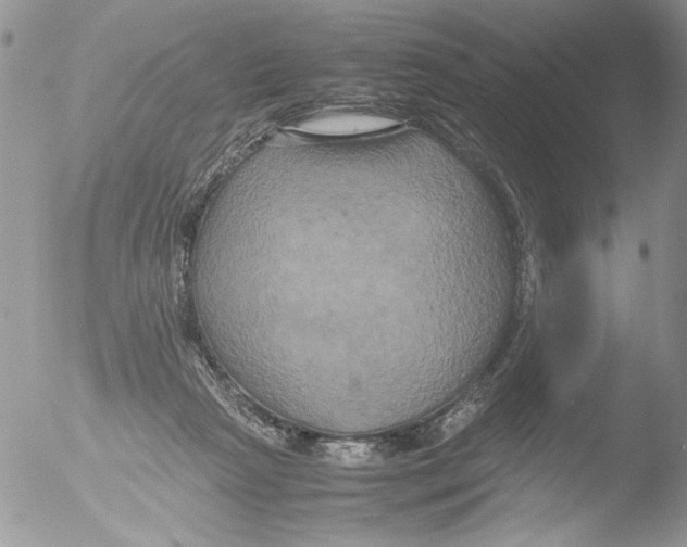 X0000051240265200507152131