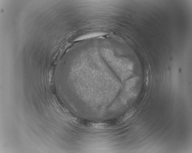 X0000051240268200507152131