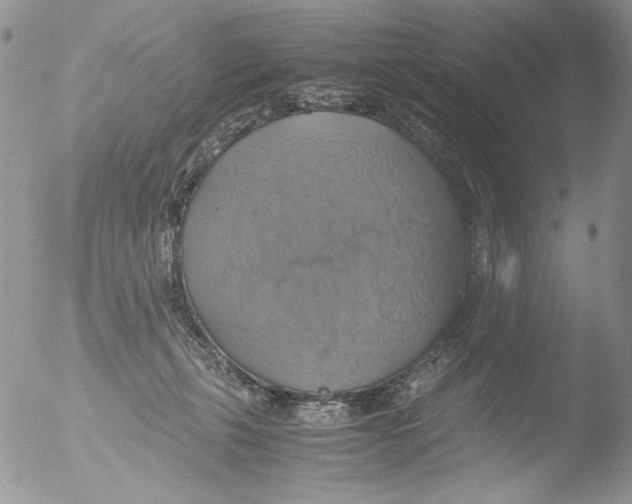 X0000051240271200507152131