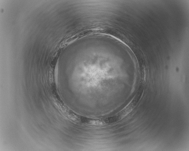 X0000051240272200507152131