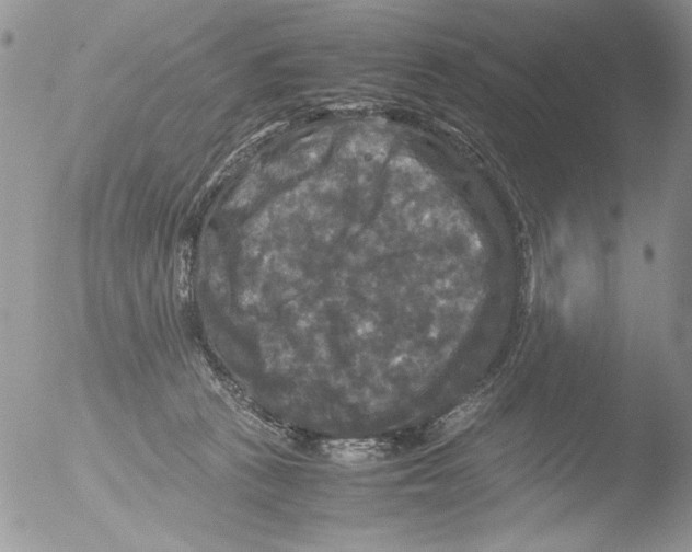 X0000051240273200507152131