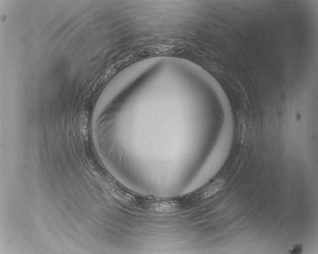 X0000051240274200507152131