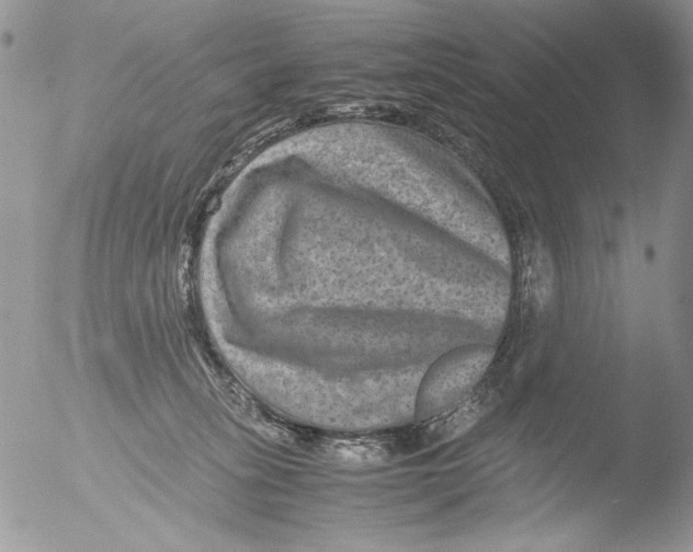 X0000051240275200507152131