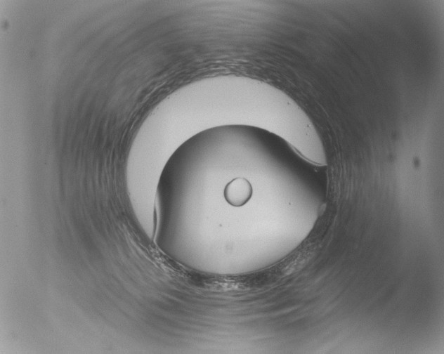 X0000051240276200507152131