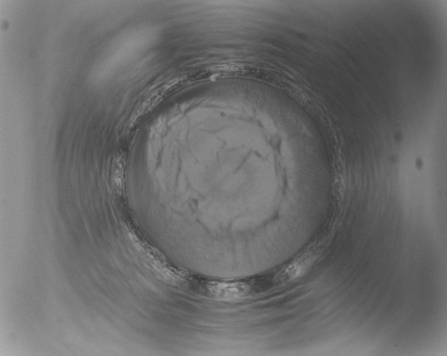 X0000051240277200507152131