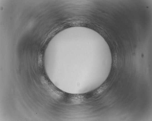 X0000051240278200507152131