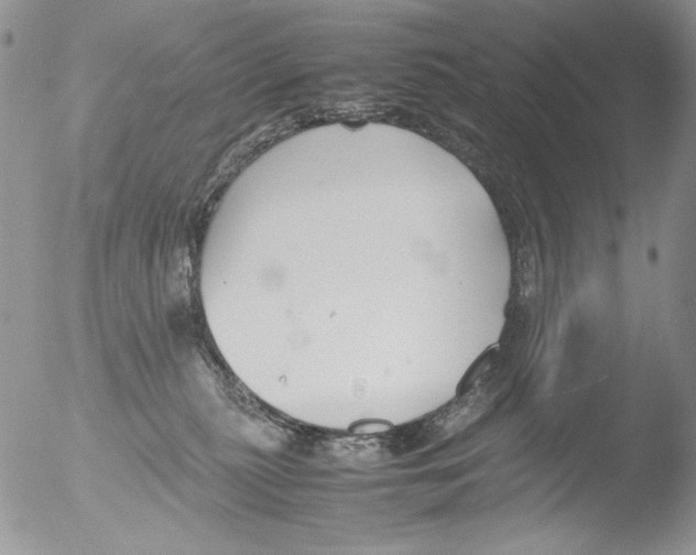 X0000051240279200507152131