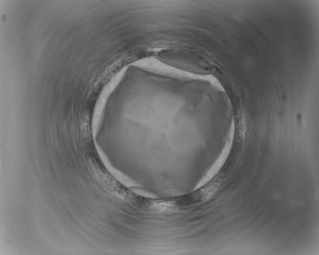 X0000051240283200507152131