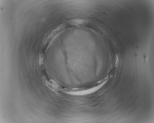 X0000051240284200507152131