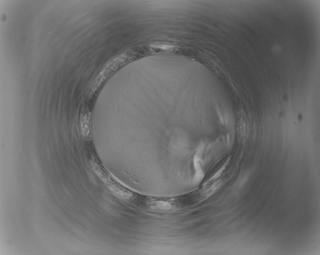 X0000051240285200507152131