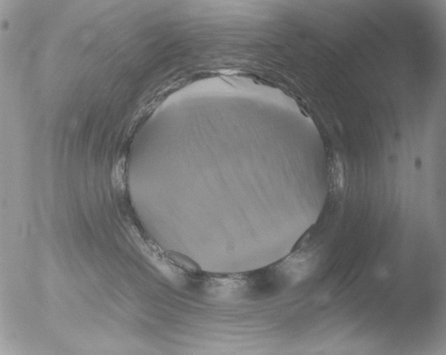 X0000051240286200507152131