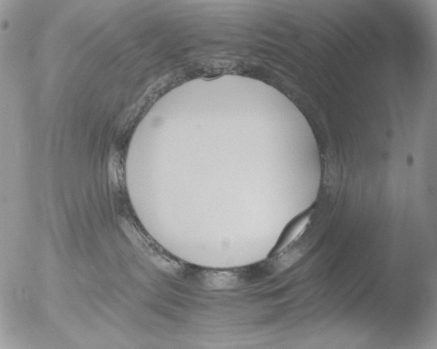 X0000051240287200507152131