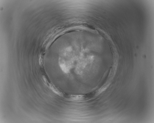 X0000051240288200507152131