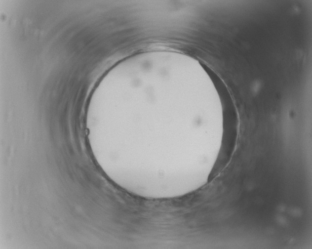 X0000051240289200507152131