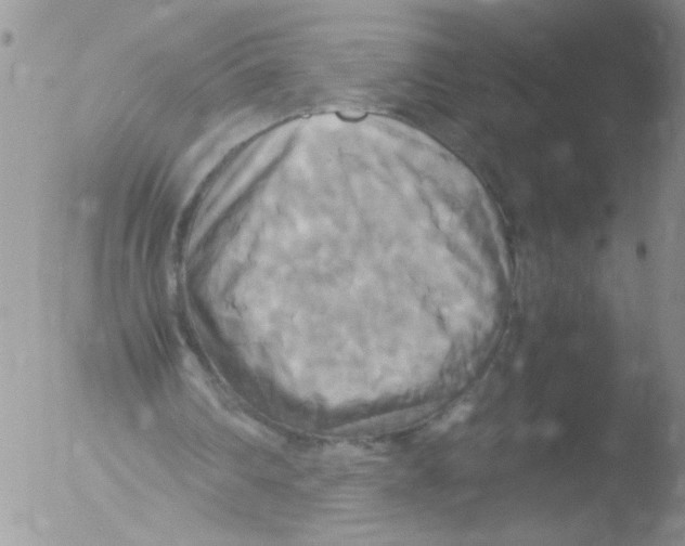 X0000051240290200507152131