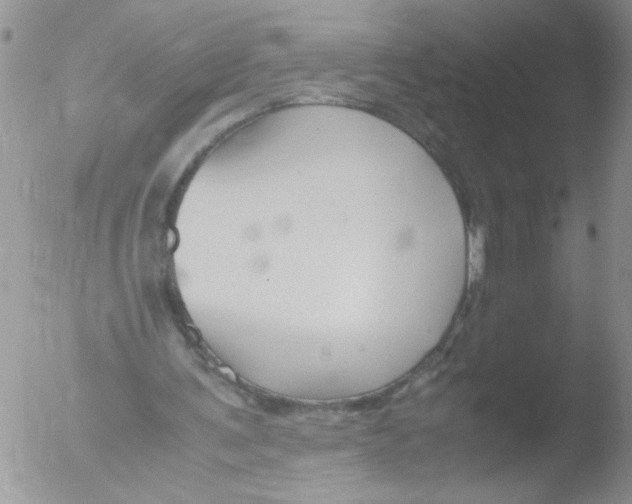 X0000051240291200507152131