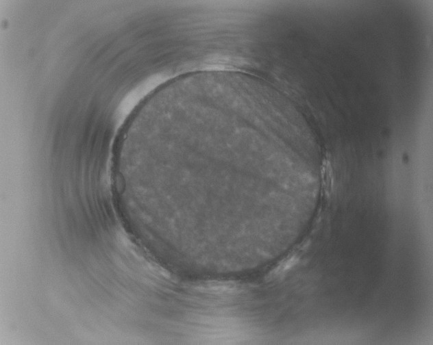 X0000051240292200507152131