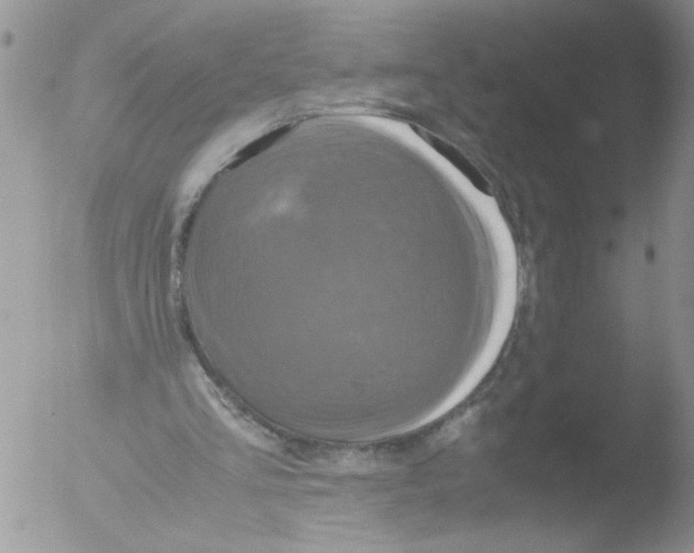 X0000051240293200507152131